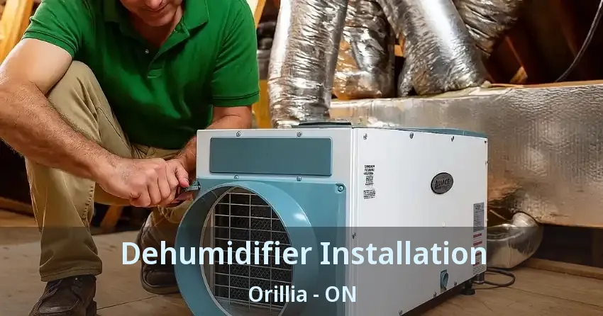 Dehumidifier Installation Orillia - ON